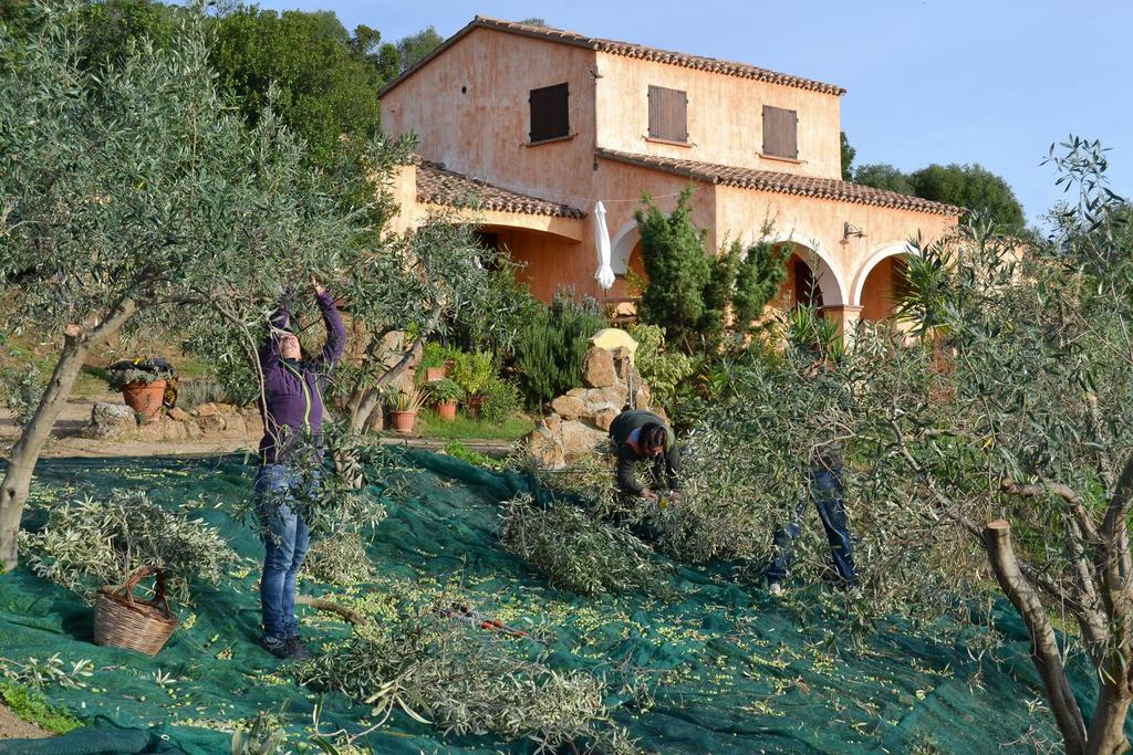 Nurazzolas Villaputzu Esterno foto