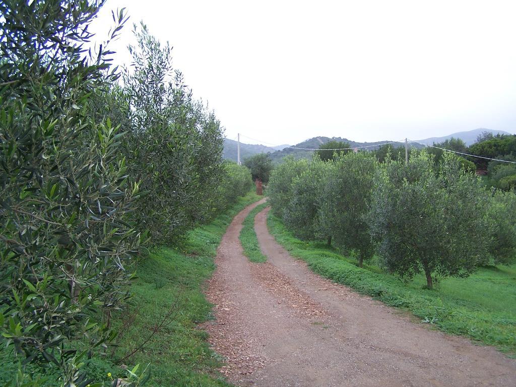 Nurazzolas Villaputzu Esterno foto